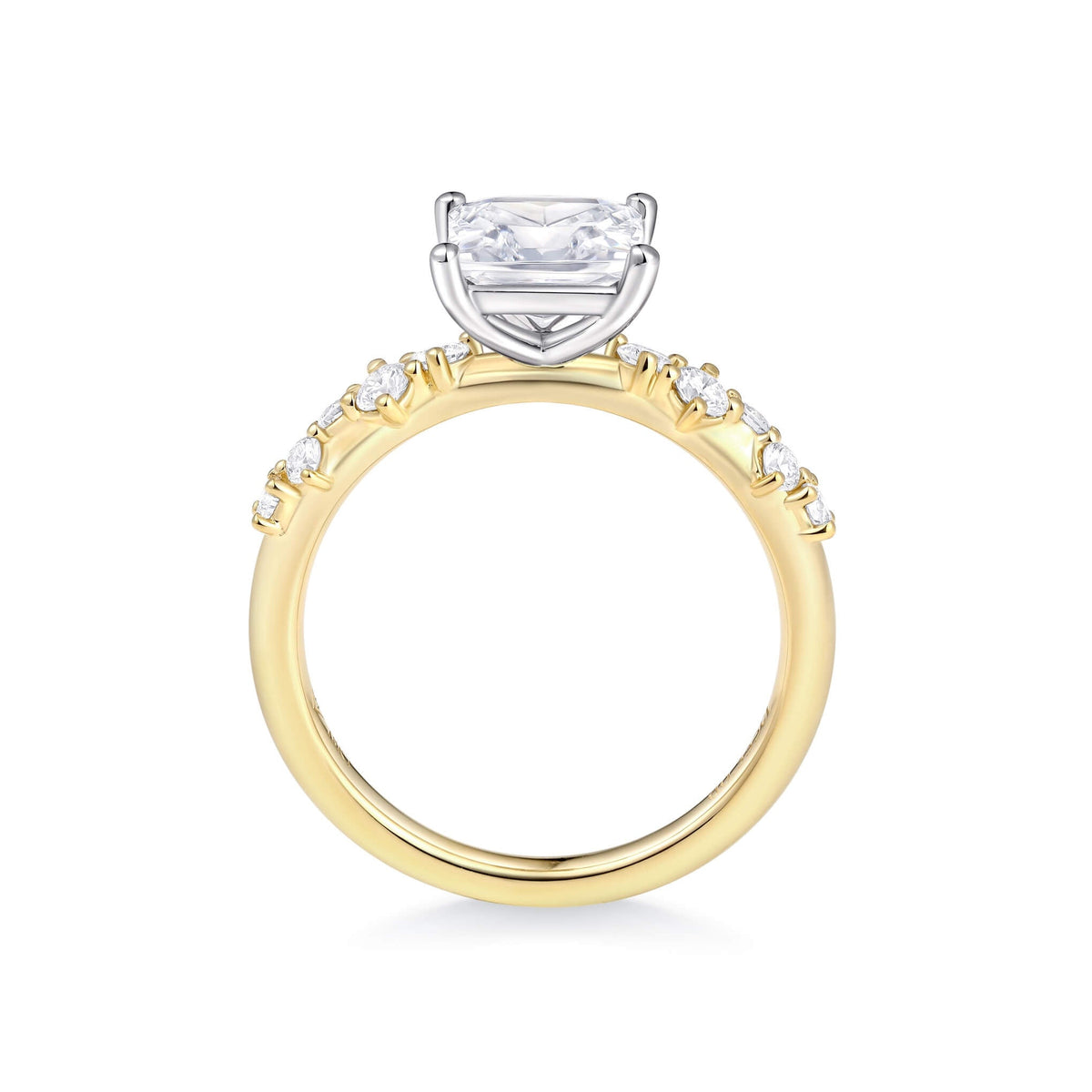 Eternal Pavé Diamond Solitaire Ring – front view