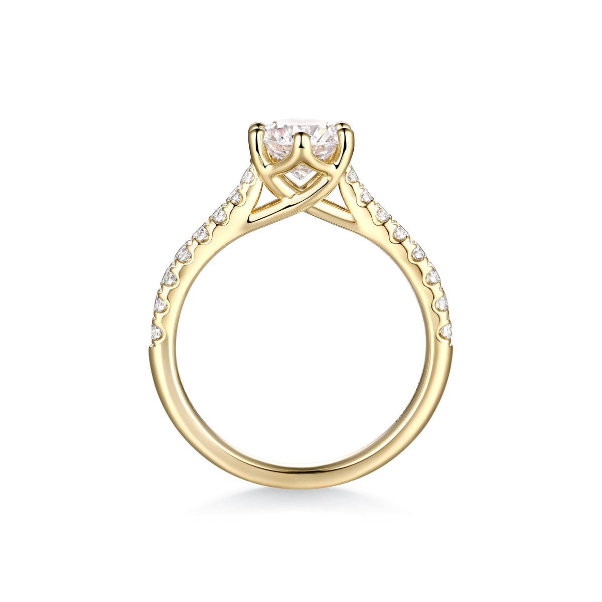 Classic Pavé Diamond Solitaire Ring – side profile